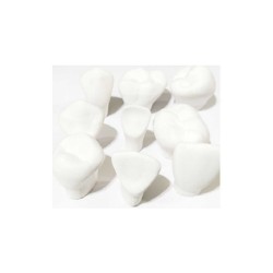 Macro Modelos de Yeso